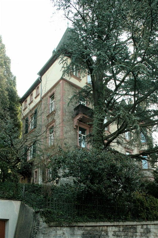 Gesamtsanierung Mehrfamilienhaus Rigistr. 47, Zürich (19.Jh.); 1986
