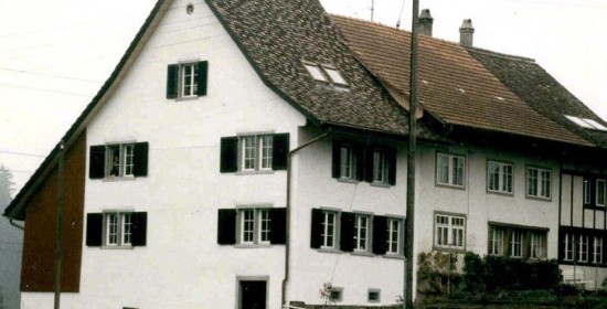 Gesamtsanierung Flarzhaus „Gubler“, Niederesslingen, Esslingen ZH (17.Jh.); 1983